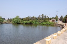 서붕 민물낚시 노지조행기 > 제주 민물낚시 열여섯번째 이야기 <`괴못에서 여러분의 행운을 시험해 보시렵니까 : 낚시사랑