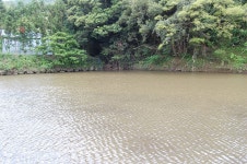 서붕 민물낚시 노지조행기 > 제주 민물낚시 열여덟번째 이야기 <`안덕계곡 이라고 들어 보셨나요?,,ㅎㅎㅎ ㅅ : 낚시사랑