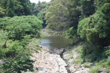 서붕 민물낚시 노지조행기 > 제주 민물낚시 열아홉번째 이야기 <`안덕계곡 2번 포인트,ㅅㅅ*> : 낚시사랑