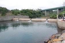 서붕 민물낚시 노지조행기 > 제주도의 민물낚시 21 <은어들의 앙탈...^^> : 낚시사랑