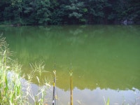 황실붕어 민물낚시 노지조행기 > 공주 소류지 : 낚시사랑