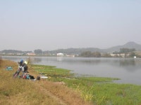 100호봉돌 민물낚시 노지조행기 > 내곡지(10월 18~19일) : 낚시사랑