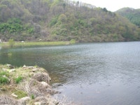 김포공항 민물낚시 노지조행기 > 낚시가 좋아. : 낚시사랑