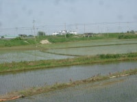 붕어의친구 민물낚시 노지조행기 > 김포 누산수로에서 민동석 : 낚시사랑