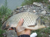 꽝~맨 민물낚시 노지조행기 > 꽝맨~다시 찾은 천수만. : 낚시사랑