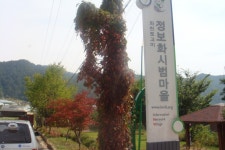 붕어의친구 민물낚시 노지조행기 > 파로호 말골낚시터에서 쉬리와 ...민동석 : 낚시사랑