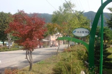 붕어의친구 민물낚시 노지조행기 > 파로호 말골낚시터에서 쉬리와 ...민동석 : 낚시사랑
