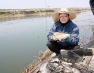 일촌(一寸) 민물낚시 노지조행기 > 남양호 노진리낚시터 노지에서 : 낚시사랑