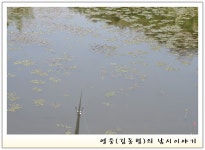 영웅 김동범 민물낚시 노지조행기 > 영웅(김동범)의 낚시이야기 : 낚시사랑