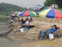 팔묜 민물낚시 노지조행기 > 낚시 댕겨온 이바구 : 낚시사랑