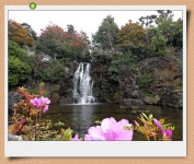 팔묜 민물낚시 노지조행기 > 낚시 댕겨온 이바구 : 낚시사랑