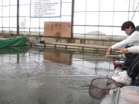 붕어셈 민물낚시 노지조행기 > 붕어에 달관하다 : 낚시사랑