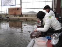 붕어셈 민물낚시 노지조행기 > 붕어에 달관하다 : 낚시사랑