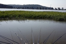 핸디맨 민물낚시 노지조행기 > 고구지에서 하룻밤~~~ : 낚시사랑