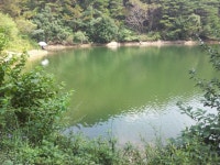 대물교주 민물낚시 노지조행기 > 예산.홍성.청양군 소재소류지를 찾아 : 낚시사랑