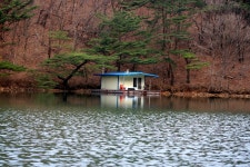 나들이 민물낚시 노지조행기 > 초봄 춘천호 오월낚시터에서 : 낚시사랑