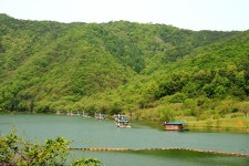 나들이 민물낚시 노지조행기 > 지난 일요일 춘천고탄낚시터에서 : 낚시사랑