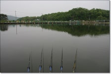 어신 민물낚시 노지조행기 > 한마음축제장의 청룡낚시터 : 낚시사랑