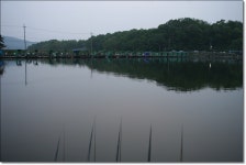 어신 민물낚시 노지조행기 > 한마음축제장의 청룡낚시터 : 낚시사랑