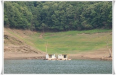 파랑장미 민물낚시 노지조행기 > 늘푸른 낚시터(노지) : 낚시사랑