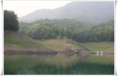 파랑장미 민물낚시 노지조행기 > 늘푸른 낚시터(노지) : 낚시사랑