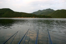 나들이 민물낚시 노지조행기 > 이제는 말풀속에서 ^^ : 낚시사랑