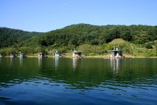 나들이 민물낚시 노지조행기 > 아름다운 춘천호 고탄낚시터에서 : 낚시사랑