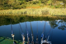 나들이 민물낚시 노지조행기 > 아름다운 춘천호 고탄낚시터에서 : 낚시사랑