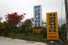 나들이 민물낚시 노지조행기 > 정출답사 의암호 자갈섬낚시터에서 : 낚시사랑