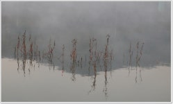 어신 민물낚시 노지조행기 > 대물터 덕산지에서의 올꽝... : 낚시사랑