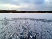 나들이 민물낚시 노지조행기 > 지난주에는 ^^ : 낚시사랑