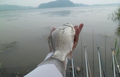 낙하산 민물낚시 노지조행기 > 남양호로 낚시여행... : 낚시사랑