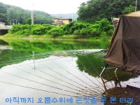 미붕 민물낚시 노지조행기 > 진천에서횡성까지 : 낚시사랑