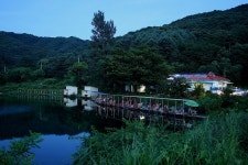 나들이 > 양평 그린낚시터를 찾아서 : 낚시사랑