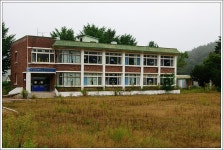 송우 민물낚시 노지조행기 > 청춘 양구에서의 보(洑)낚시 : 낚시사랑