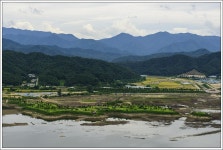 양구총포낚시 | 송우 민물낚시 노지조행기 > 청춘 양구에서의 보(洑)낚시 : 낚시사랑