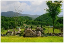 송우 민물낚시 노지조행기 > 청춘 양구에서의 보(洑)낚시 : 낚시사랑