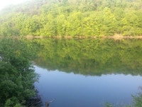 장구라 민물낚시 노지조행기 > 장구라가 간다. : 낚시사랑