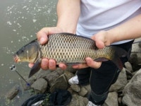 비즈킷 민물낚시 노지조행기 > 배수기 강화수로 : 낚시사랑