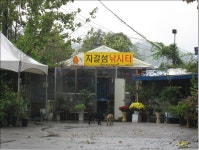 돌감자 민물낚시 노지조행기 > 가을비가 부슬부슬 내리는 의암호 자갈섬낚시터 노지로 낚시여행 : 낚시사랑