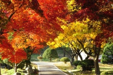 그~네 민물낚시 노지조행기 > 청평댐으로 쨤낚시... : 낚시사랑