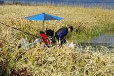 그~네 민물낚시 노지조행기 > 청평댐으로 쨤낚시... : 낚시사랑