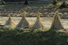그~네 민물낚시 노지조행기 > 청평댐으로 쨤낚시... : 낚시사랑