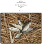 라이트닝 민물낚시 노지조행기 > 비바람과 쪽수로 짬낚시 [화성] : 낚시사랑