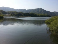 김포공항 민물낚시 노지조행기 > 파로호 청평호 춘천호 : 낚시사랑