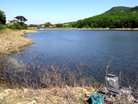 손맛꽝 민물낚시 노지조행기 > 낚시 & 캠핑 이야기-강화 인산지에서 : 낚시사랑