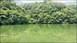 대물교주 민물낚시 노지조행기 > 한적한 소류지를 찾아서... : 낚시사랑