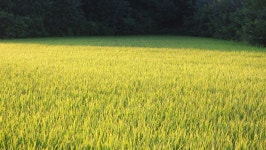 솔바람소리 민물낚시 노지조행기 > 수로 이야기 : 낚시사랑