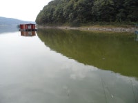 사라비아 민물낚시 노지조행기 > 조정지댐 입석 에서 송전지 까지 : 낚시사랑