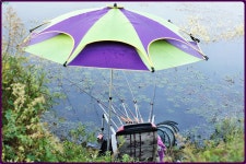 대물교주 민물낚시 노지조행기 > 부여인근 수로에서 : 낚시사랑